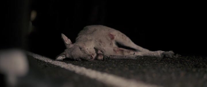 Talk To Me 2022 480p Bluray Hindi English