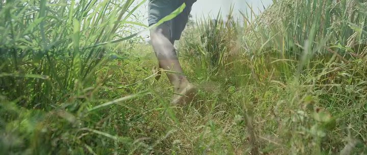 @Netflix Villa Original Kida 2023 Uncut Org Hindi Tamil Esub Webdl(1)