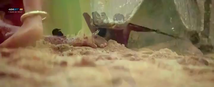 @Latest Movies Reborn Kingdom (2025) Hindi Pre Hd 480p X26