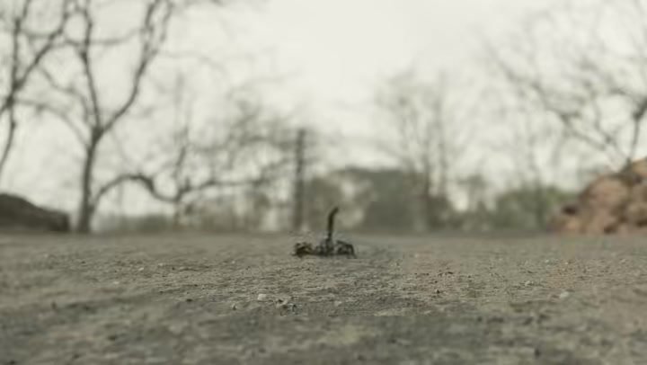 S02[@gdback] Mirzapur Season 1 Completed 2020 480p