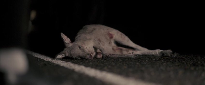 Talk_to_Me_2022_720p_BluRay_Hindi_English_x264_ESubs_SkymoviesHD.mkv