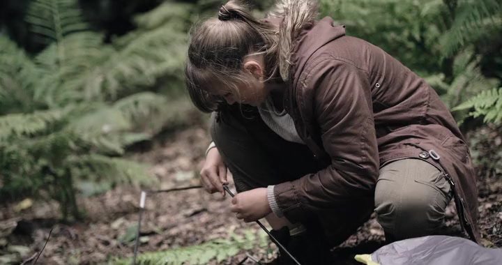 Among The Living 2022 English Hindi