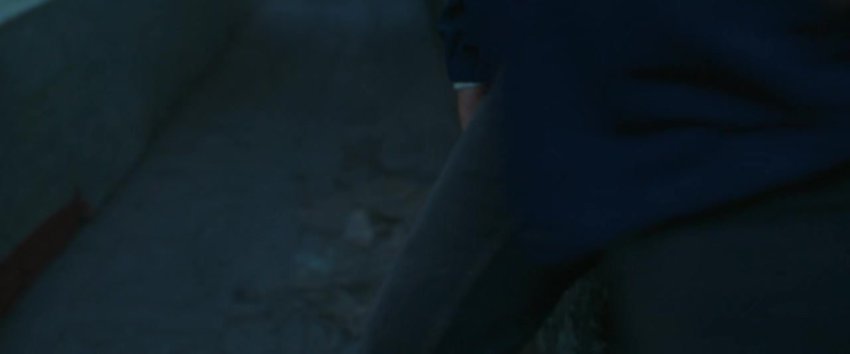 Citadel Honey Bunny 2024