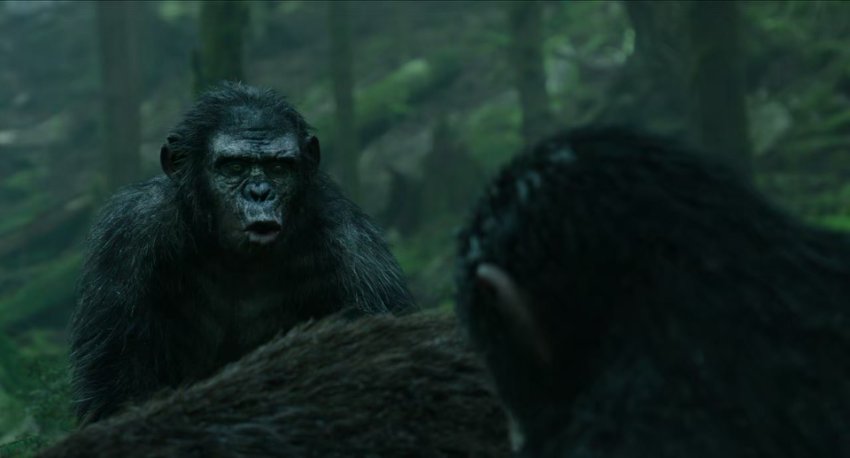 Dawn Of The Planet Of The Apes 2014 720p 10bit Bluray X265 Hevc