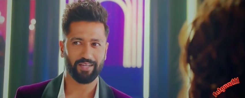 Bad Newz (2024) 480p Hindi