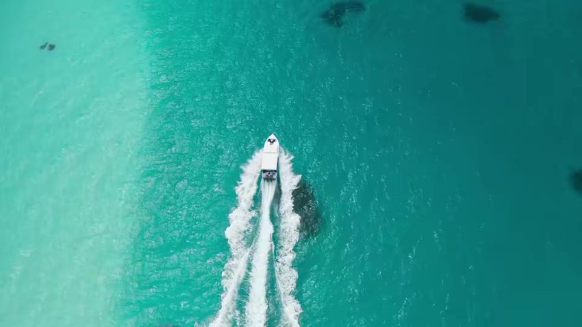 Party Till I Die S01 2024 Hindi Completed Web Series Hevc 1080p