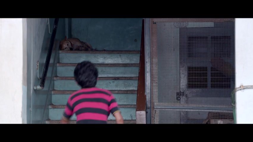 @Raje Movies Ti Saddhya Kay Karte 720p(1)